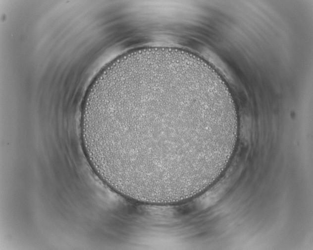 X0000088640856200705251456