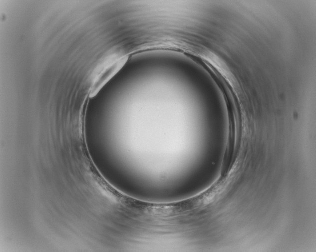X0000088640858200705251456