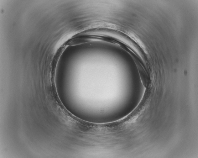 X0000088640877200705251455