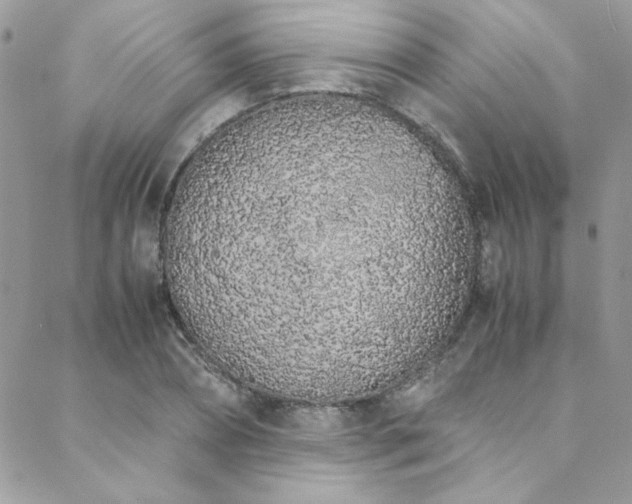X0000088640882200705251455