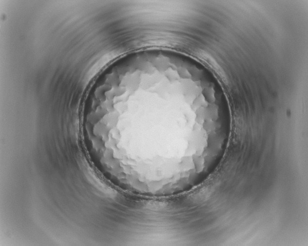 X0000088640890200705251455