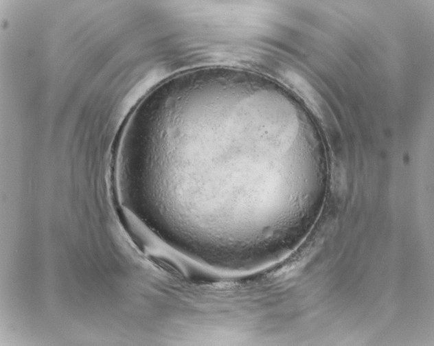 X0000088640899200705251454