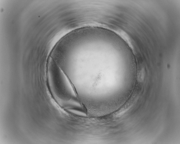 X0000088640903200705251454