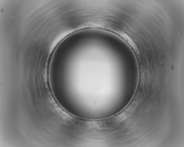 X0000088640904200705251454