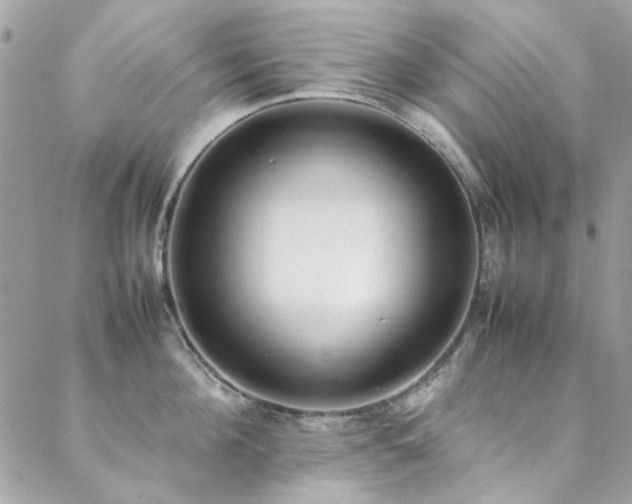 X0000088640908200705251454