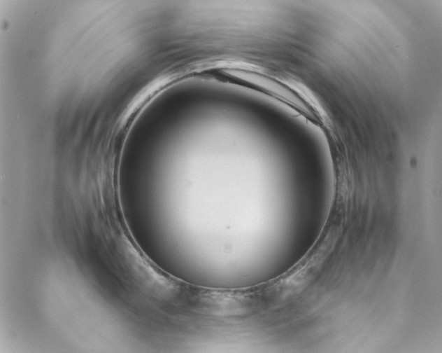 X0000088640910200705251454