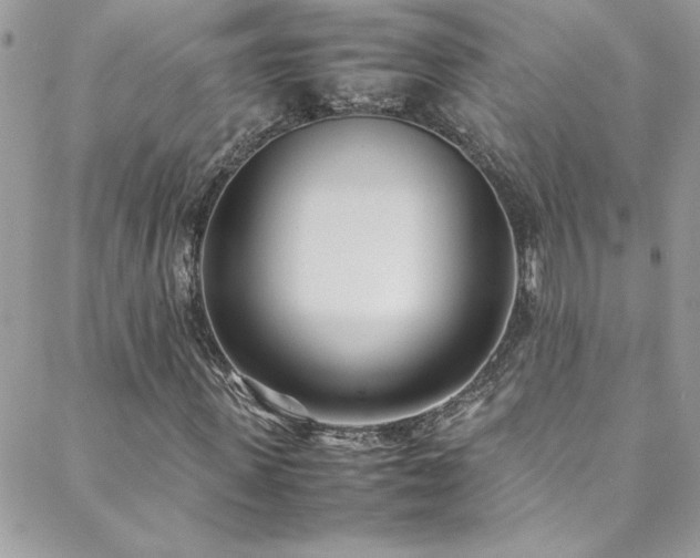 X0000088640915200705251454