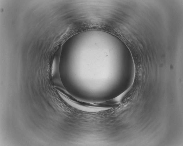 X0000088640916200705251454