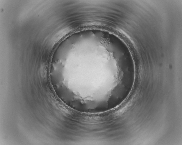 X0000088640921200705251454