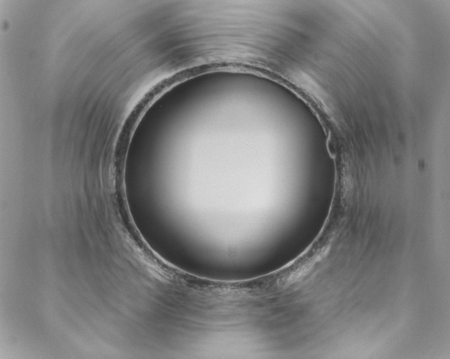 X0000088640924200705251454