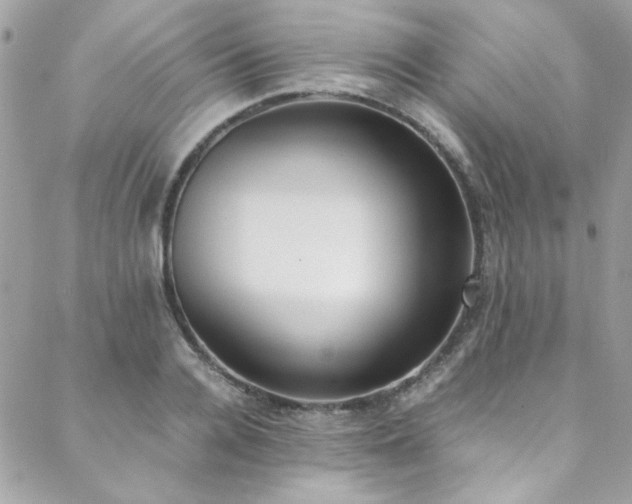 X0000088640936200705251454