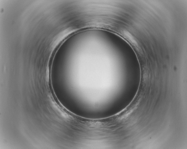 X0000088640940200705251454