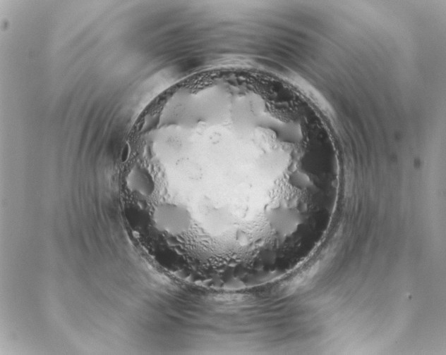 X0000088640953200705251454
