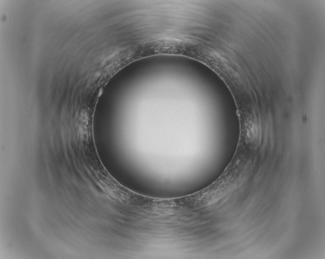 X0000088640964200705251453