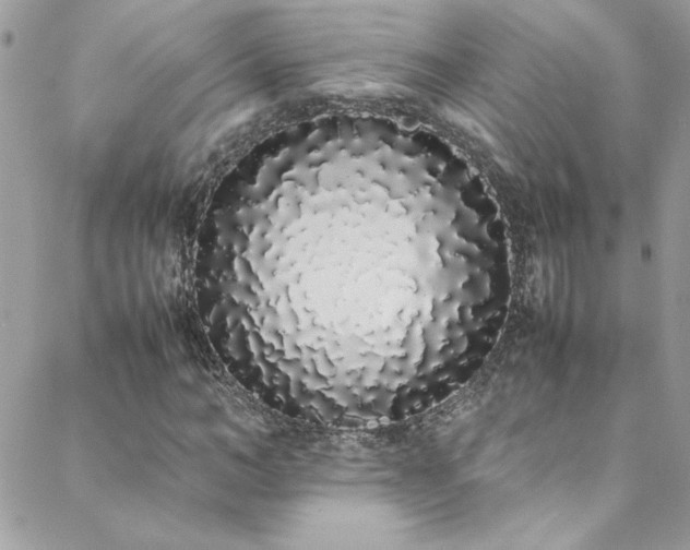 X0000088640966200705251453
