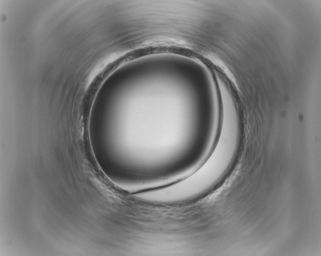 X0000088640973200705251453