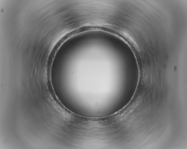 X0000088640976200705251453