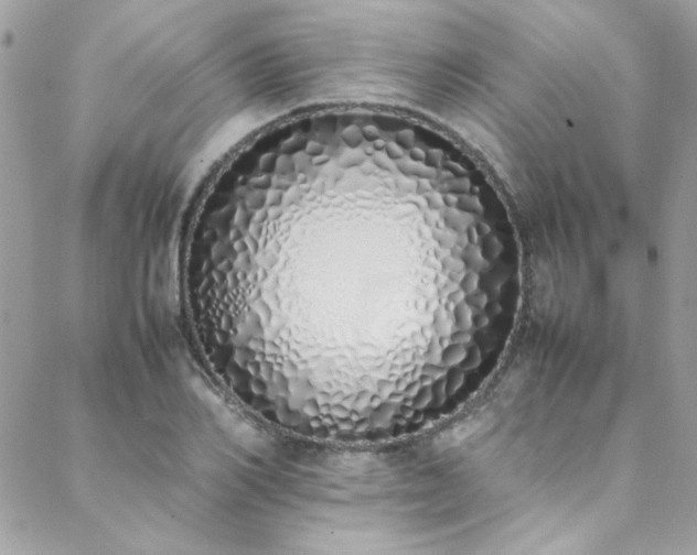 X0000088640982200705251453