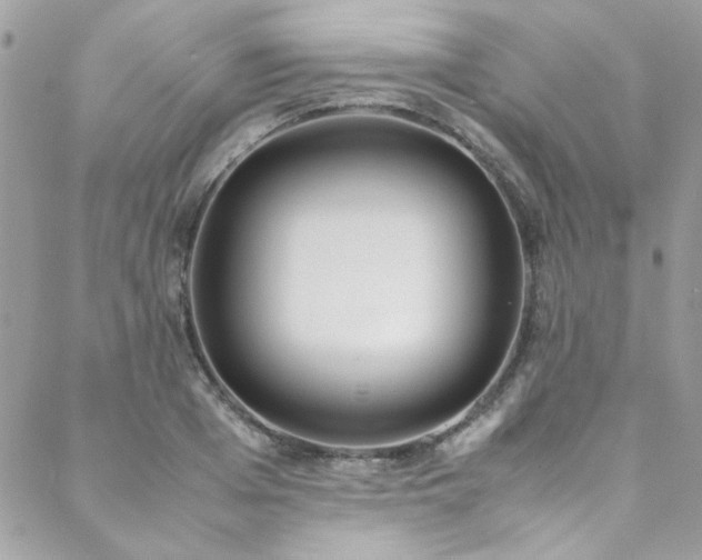 X0000088640985200705251453