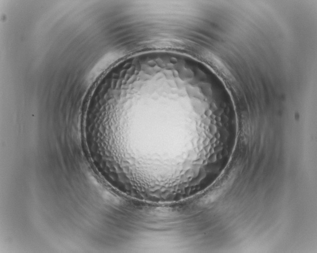 X0000088640986200705251453