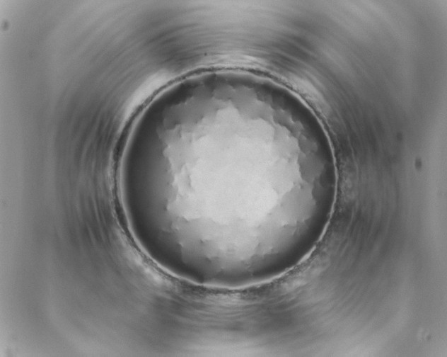X0000088640990200705251453