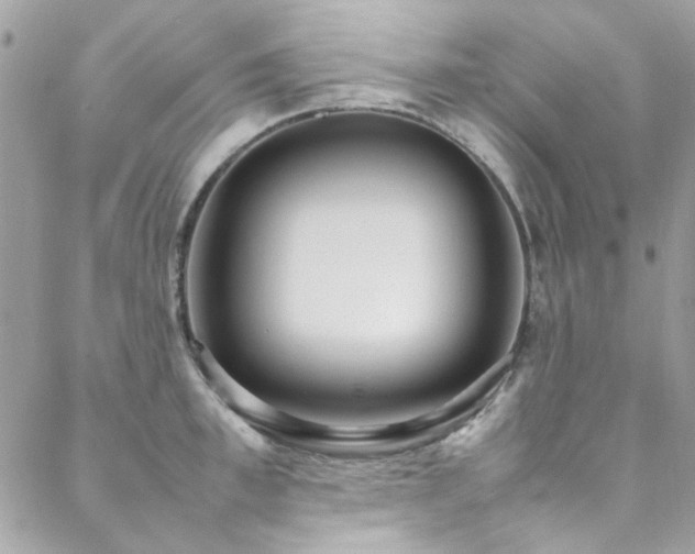 X0000088640997200705251453