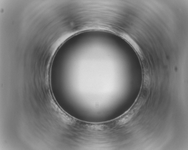 X0000088641004200705251453