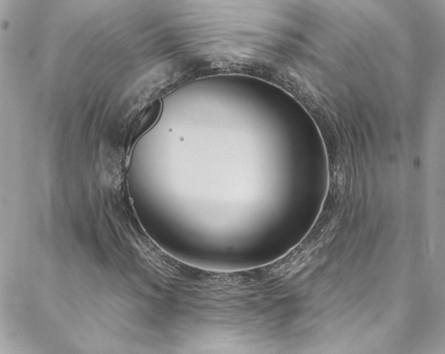 X0000088641012200705251452