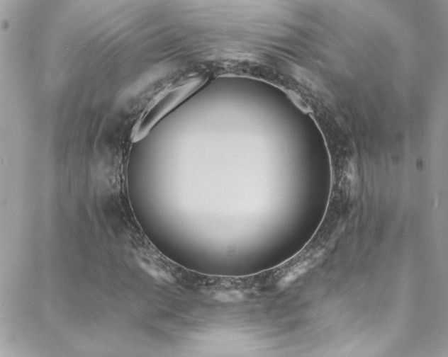 X0000088641014200705251452