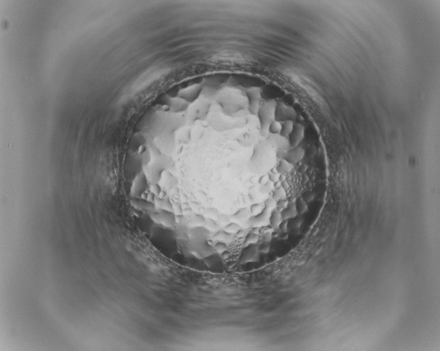 X0000088641015200705251452
