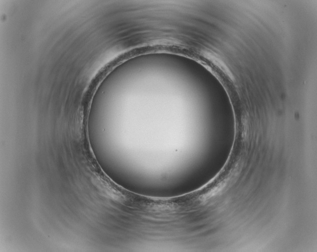 X0000088641021200705251452