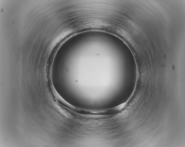 X0000088641026200705251452
