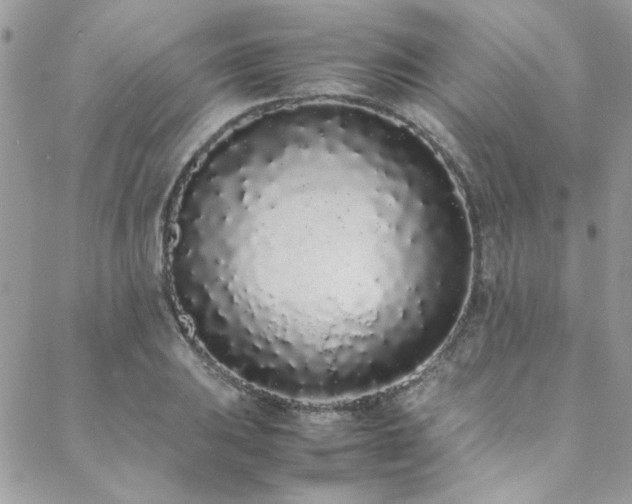X0000088641031200705251452