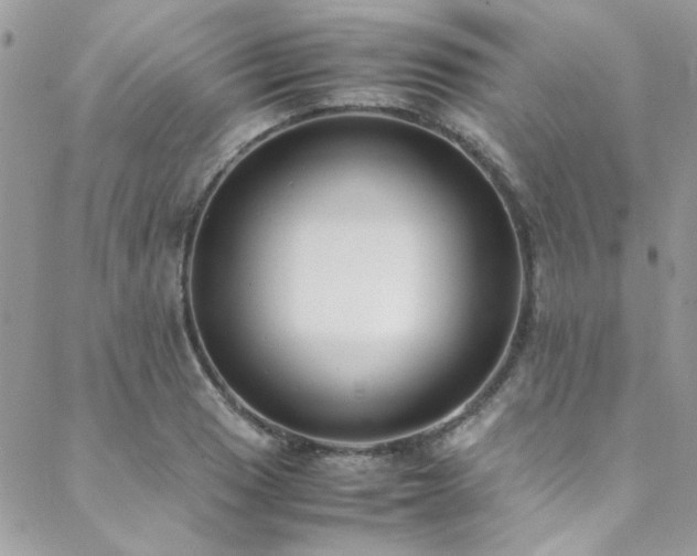 X0000088641033200705251452