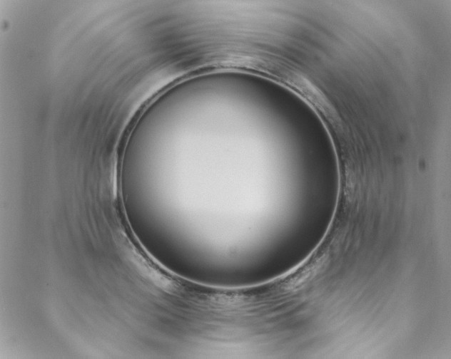 X0000088641036200705251452