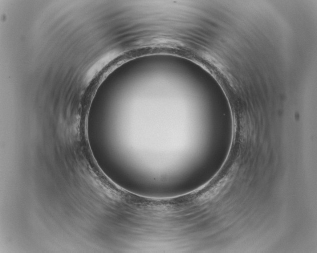 X0000088641066200705251452