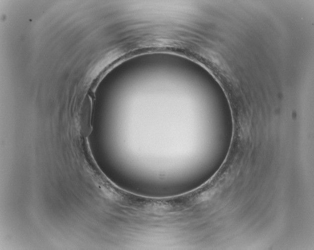 X0000088641073200705251452