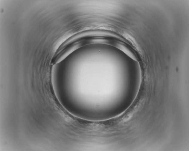 X0000088641081200705251452