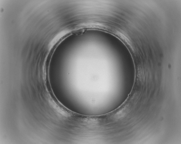 X0000088641082200705251452