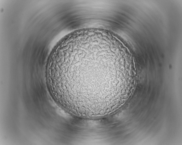 X0000088641086200705251451