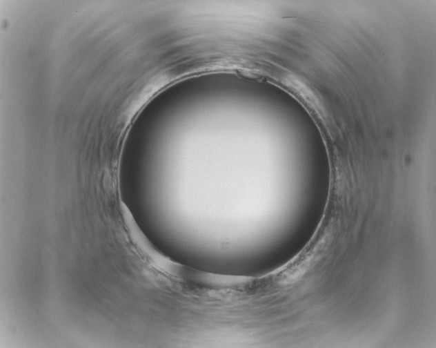 X0000088641097200705251451