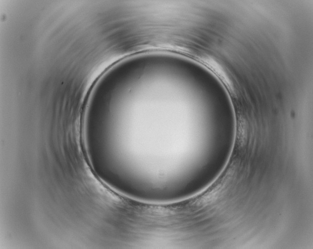 X0000088641100200705251451