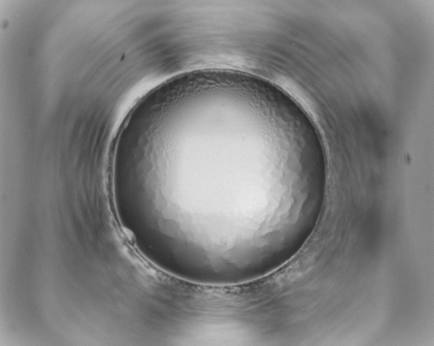 X0000088641104200705251451