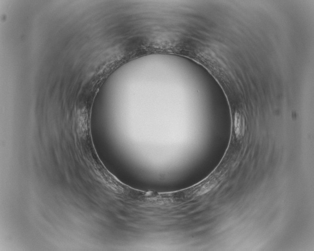 X0000088641107200705251450