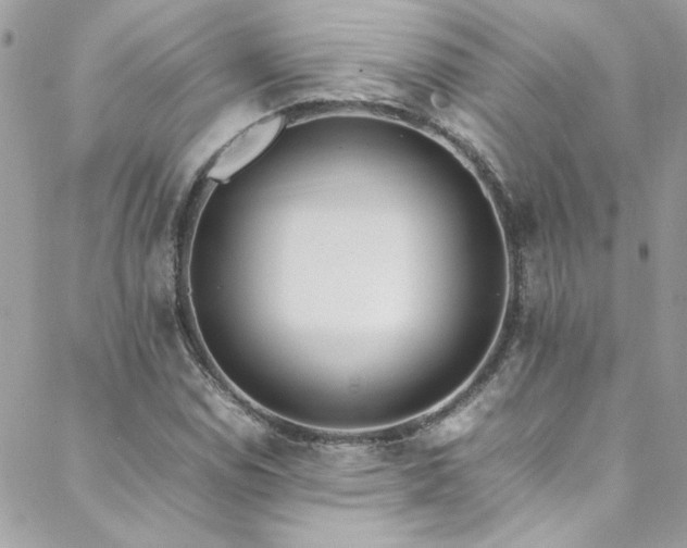 X0000088641114200705251451