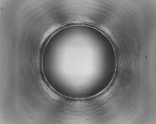 X0000088641122200705251451
