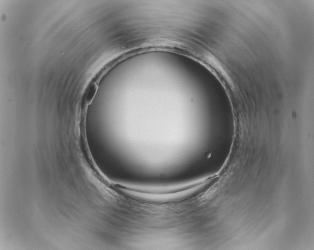 X0000088641124200705251451