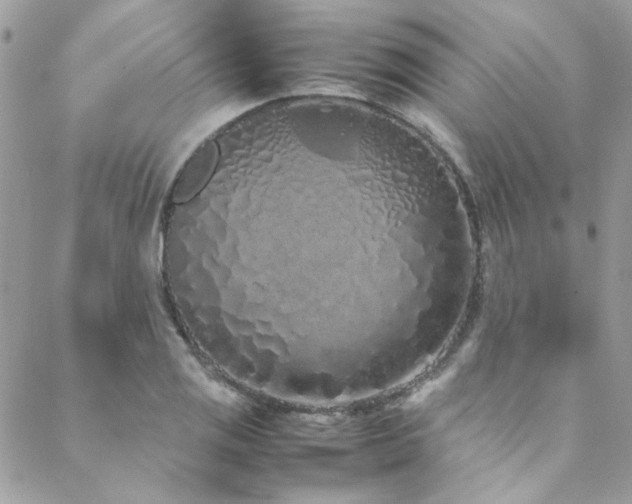 X0000088641125200705251451