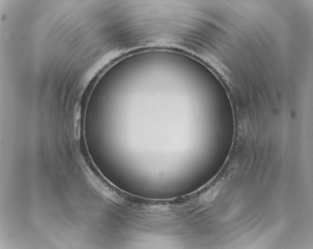 X0000088641126200705251451