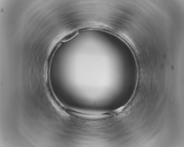 X0000088641128200705251451